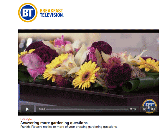 4165flower on Breakfast Television