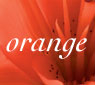 Orange Flowers 416 5 FLOWER